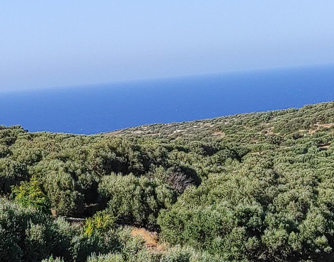Villa Almond Tree - Elounda Traditional Homes Of Crete Vrouhas