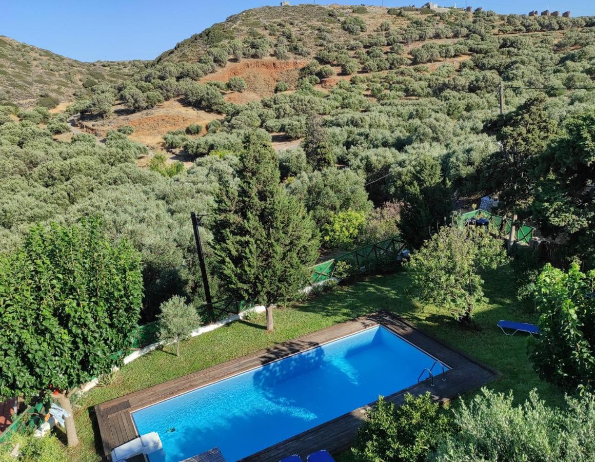 Villa Almond Tree Private Pool, Sea Views & Birds In A Relaxing Authentic Cretan Escape
